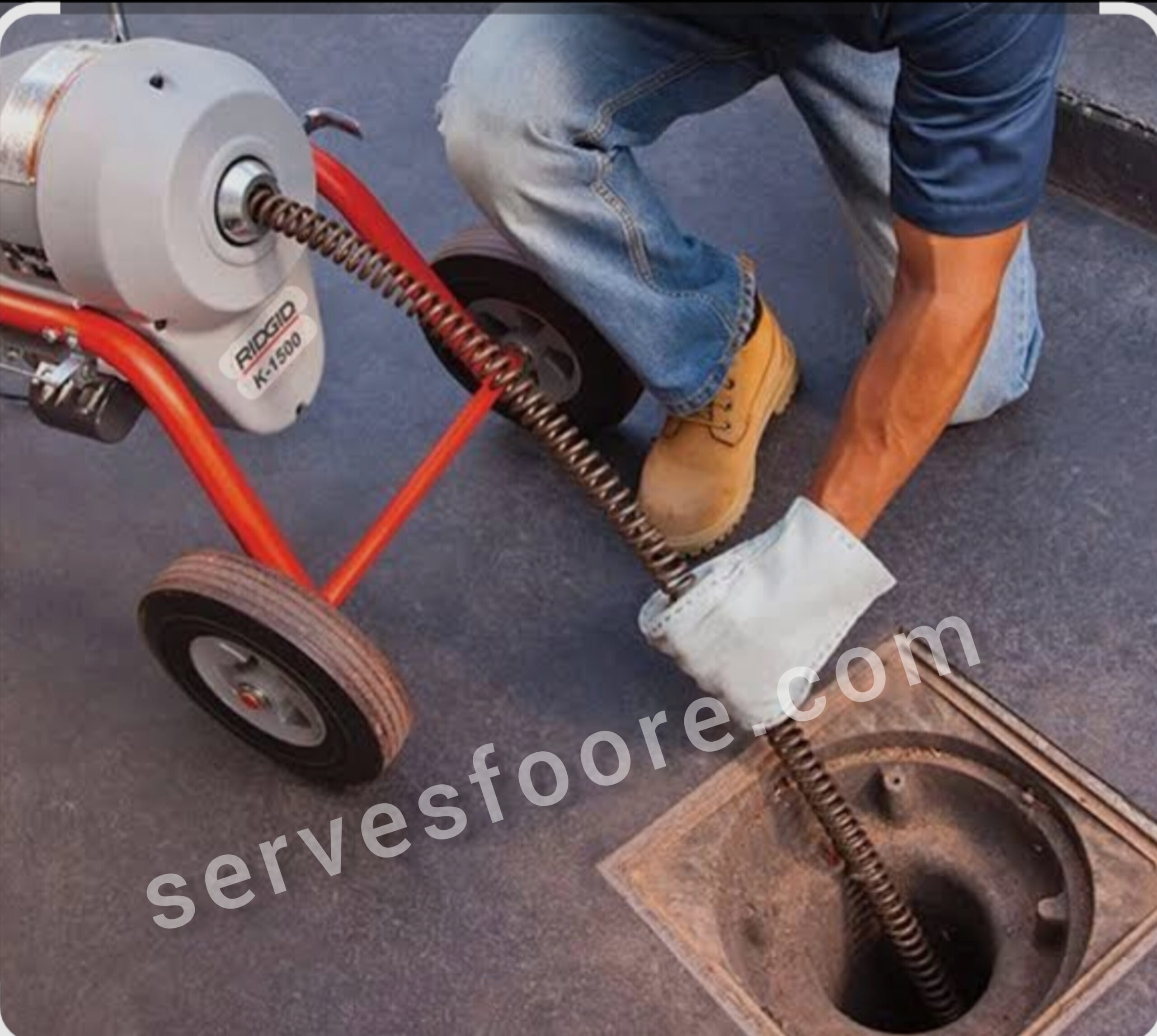 servesfoore.com