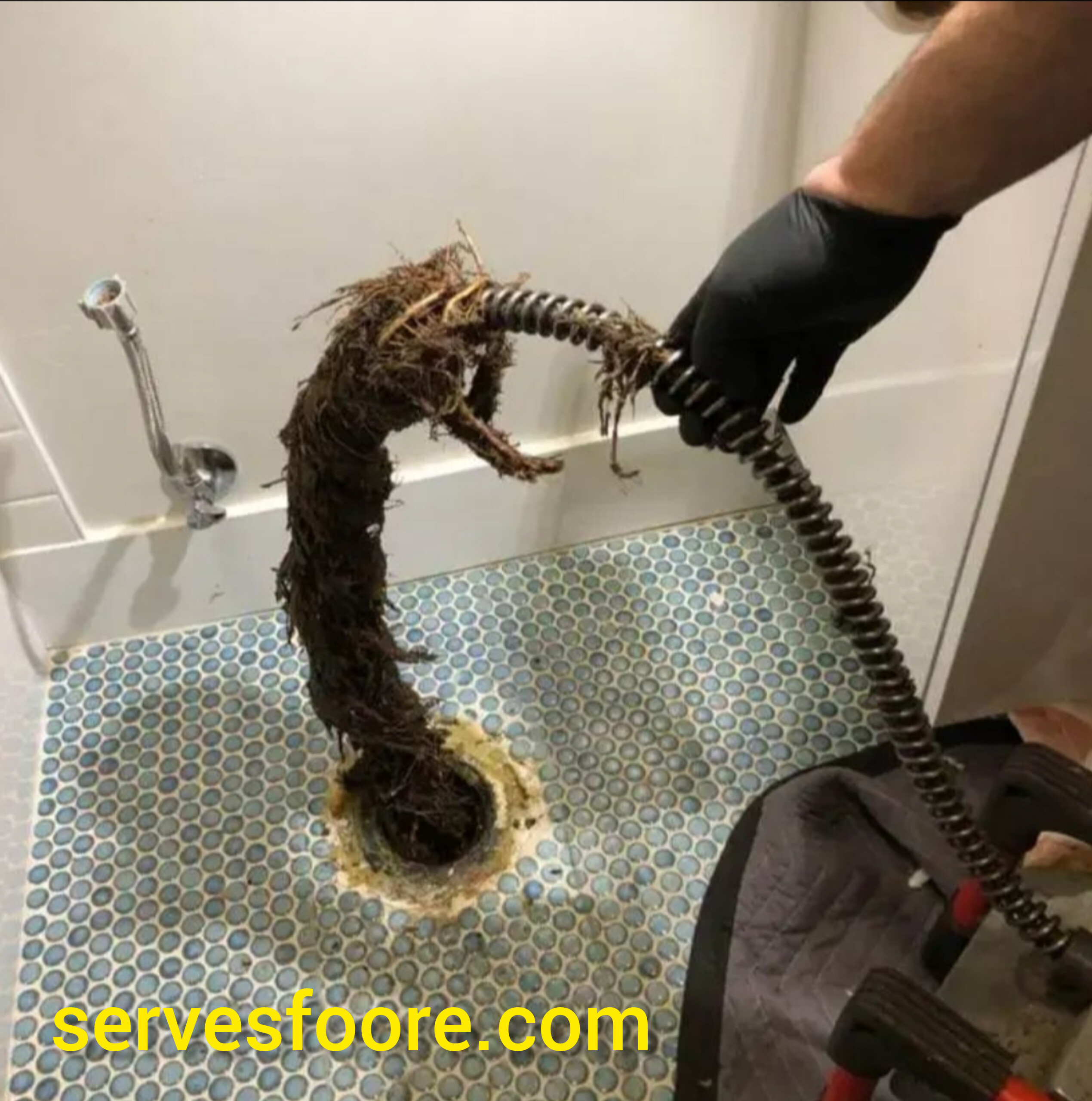 servesfoore.com