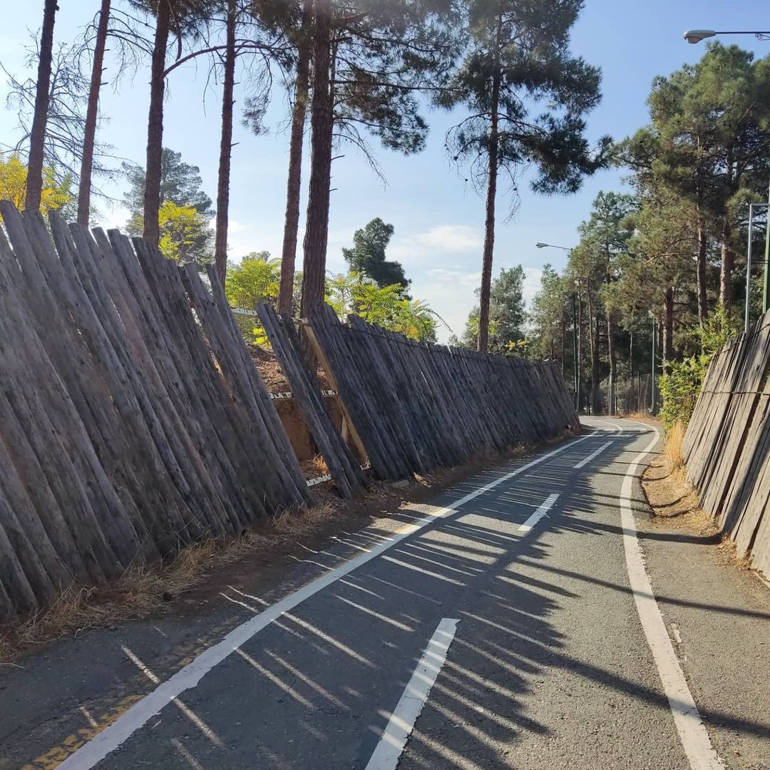 پارک جنگلی چیتگر