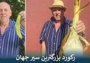 رکورد بزرگترین سیر جهان