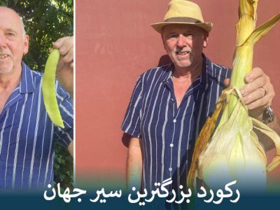 رکورد بزرگترین سیر جهان