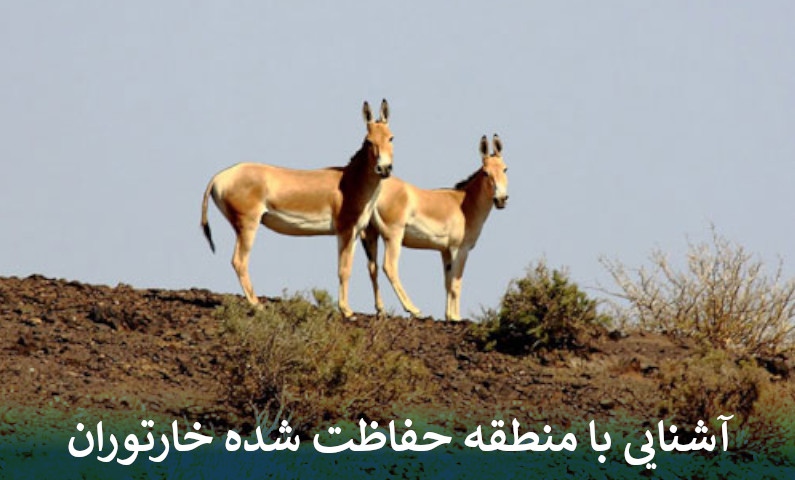 آشنایی با منطقه حفاظت شده خارتوران